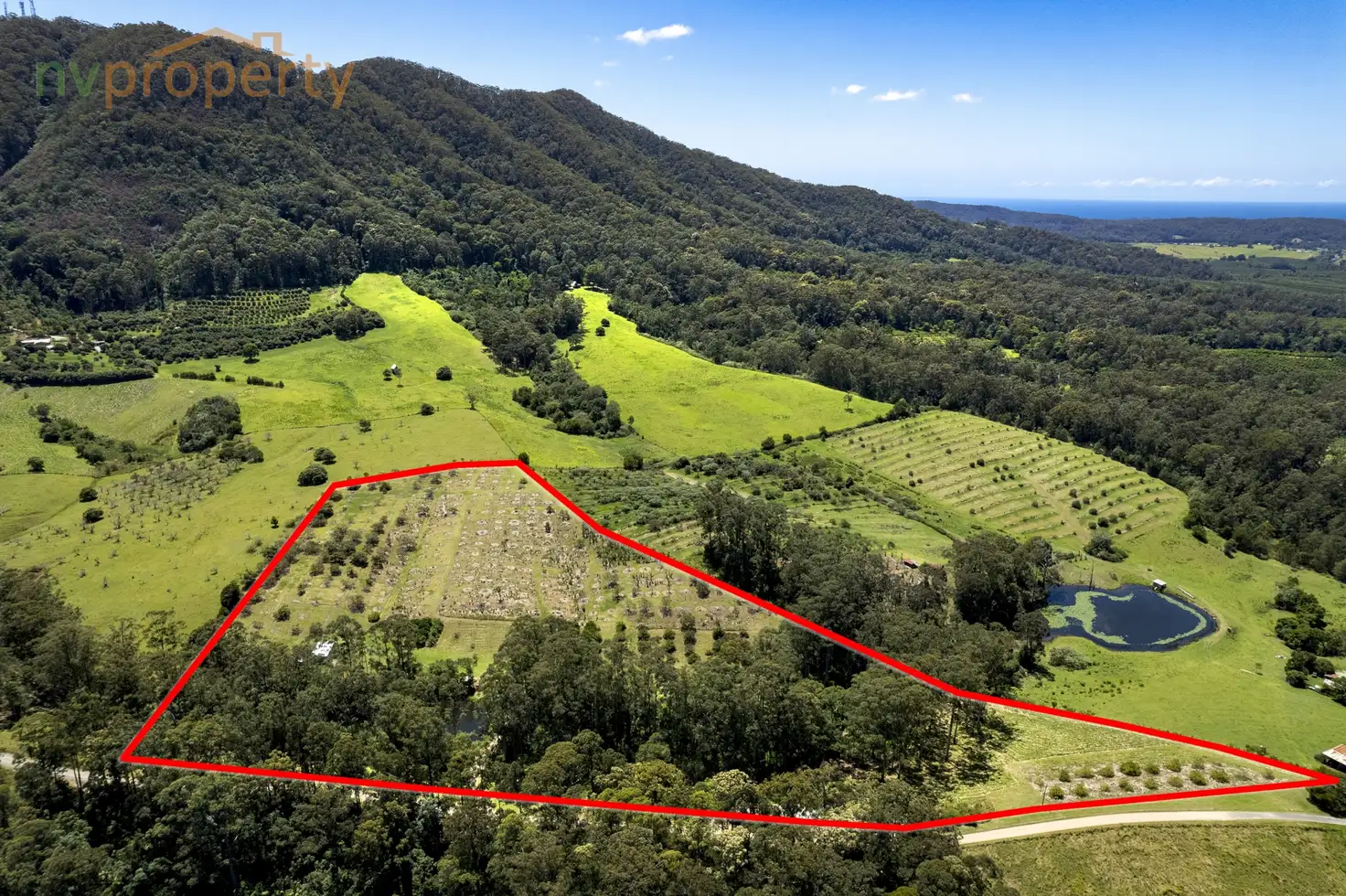 Main view of Homely land listing, 238 Mighell Road, Yarrahapinni NSW 2441