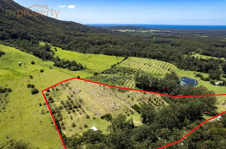 Seventh view of Homely land listing, 238 Mighell Road, Yarrahapinni NSW 2441