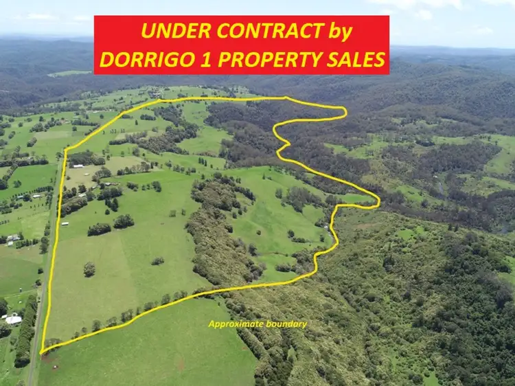 308-478 Paddys Plains Road, North Dorrigo NSW 2453