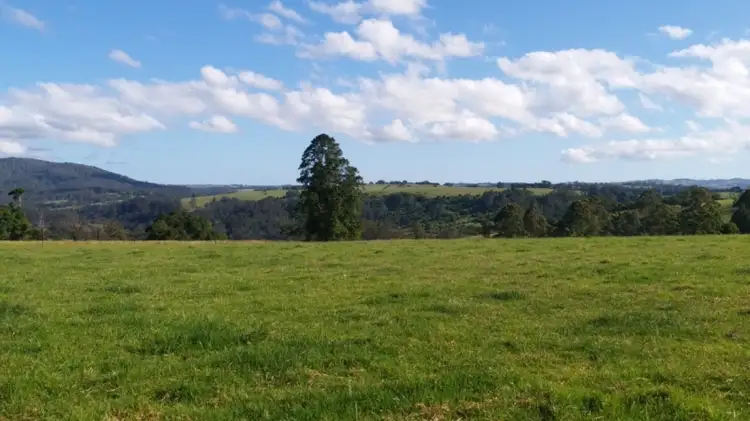 Third view of Homely rural property listing, 308-478 Paddys Plains Road, North Dorrigo NSW 2453