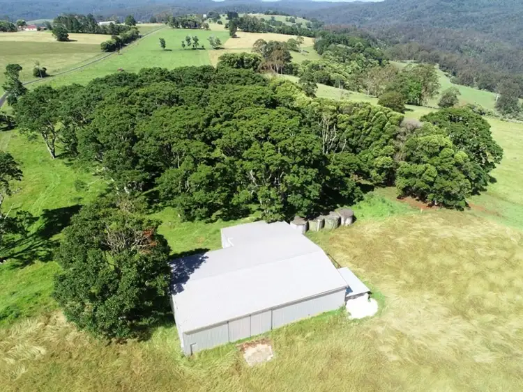 Fourth view of Homely rural property listing, 308-478 Paddys Plains Road, North Dorrigo NSW 2453