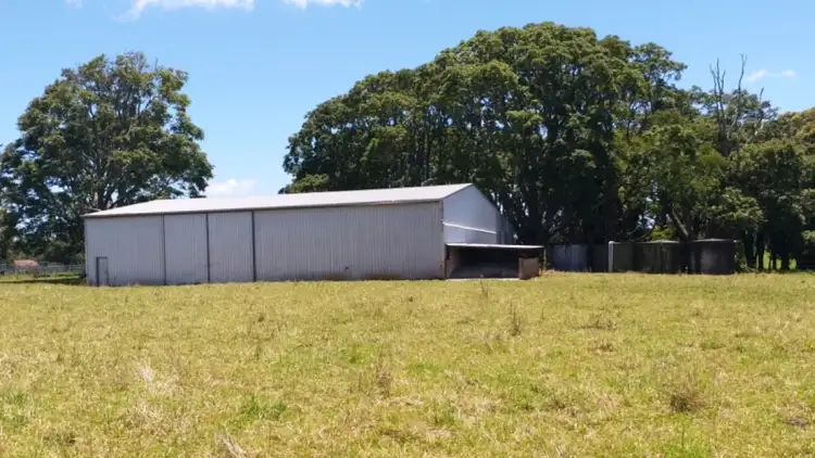 Fifth view of Homely rural property listing, 308-478 Paddys Plains Road, North Dorrigo NSW 2453