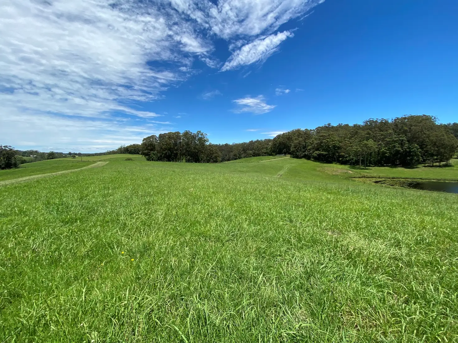 Main view of Homely land listing, LOT 6 WALLABY  Park, Congarinni NSW 2447