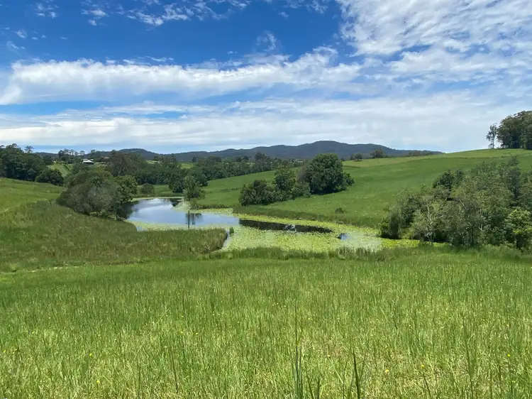LOT 8 WALLABY  Park, Congarinni NSW 2447
