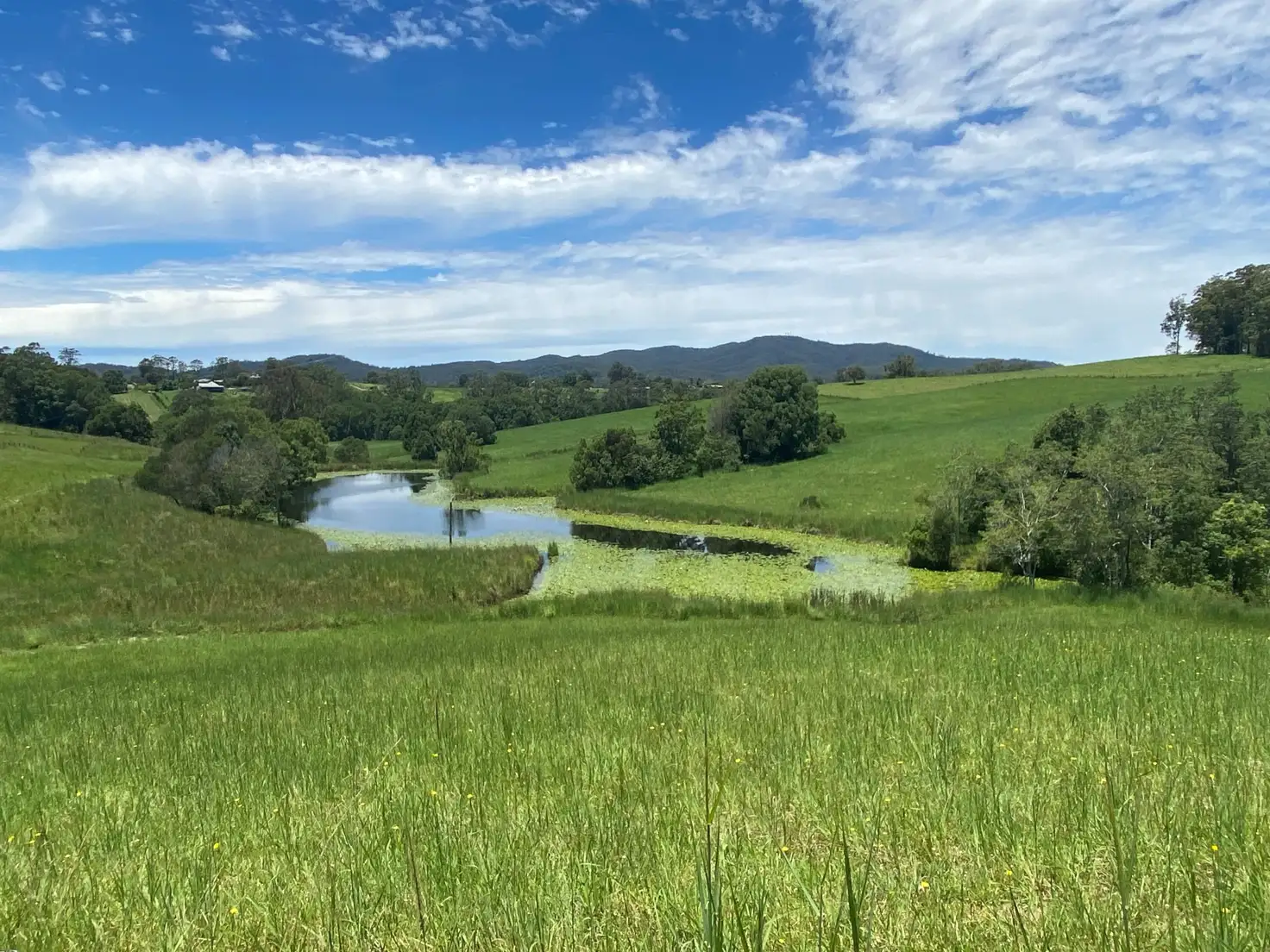 Main view of Homely land listing, LOT 8 WALLABY  Park, Congarinni NSW 2447