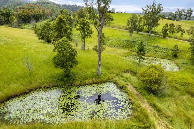 Third view of Homely rural property listing, 1054 South Arm Road, South Arm NSW 2449