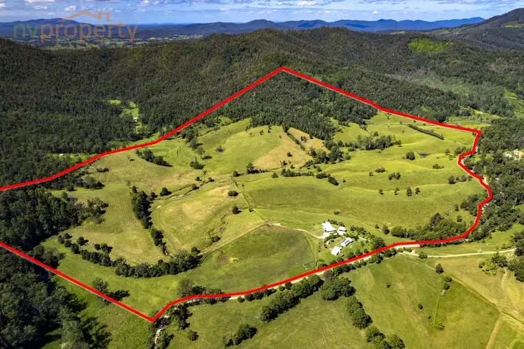 Main view of Homely rural property listing, 157 Mchughs Creek Road, South Arm NSW 2449