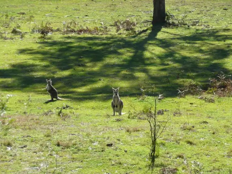 Sixth view of Homely land listing, lot 45-104 Gorricks Run, Upper Macdonald NSW 2775