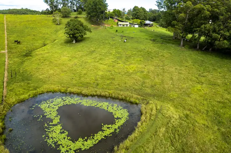 LOT 2, 206 Newee Creek Road, Newee Creek NSW 2447