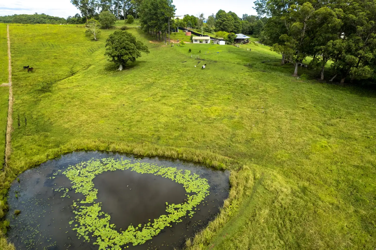 Main view of Homely other listing, LOT 2, 206 Newee Creek Road, Newee Creek NSW 2447