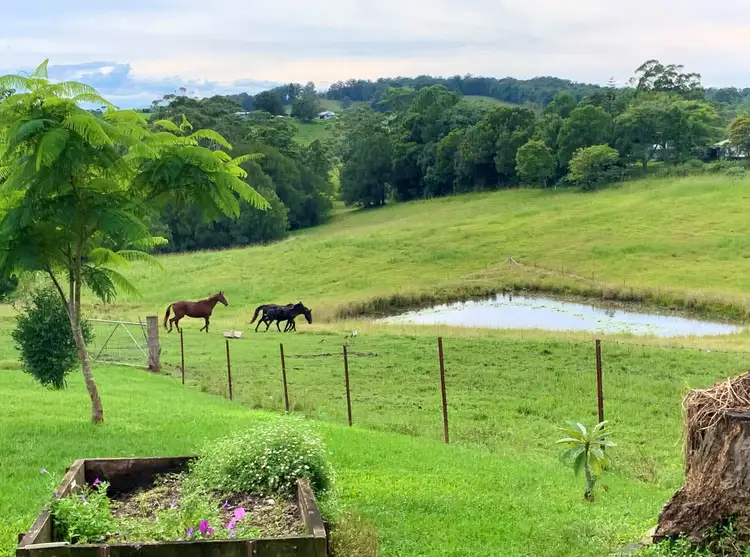 Fourth view of Homely other listing, LOT 2, 206 Newee Creek Road, Newee Creek NSW 2447