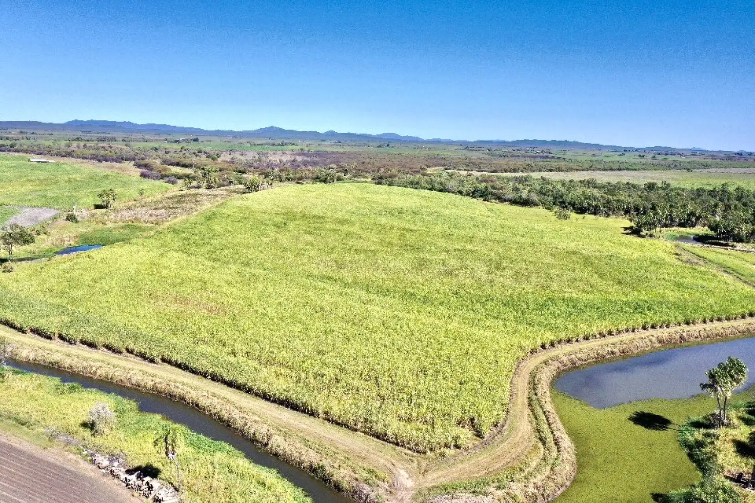 Main view of Homely rural property listing, 72 Coppo  Road, Inkerman QLD 4806
