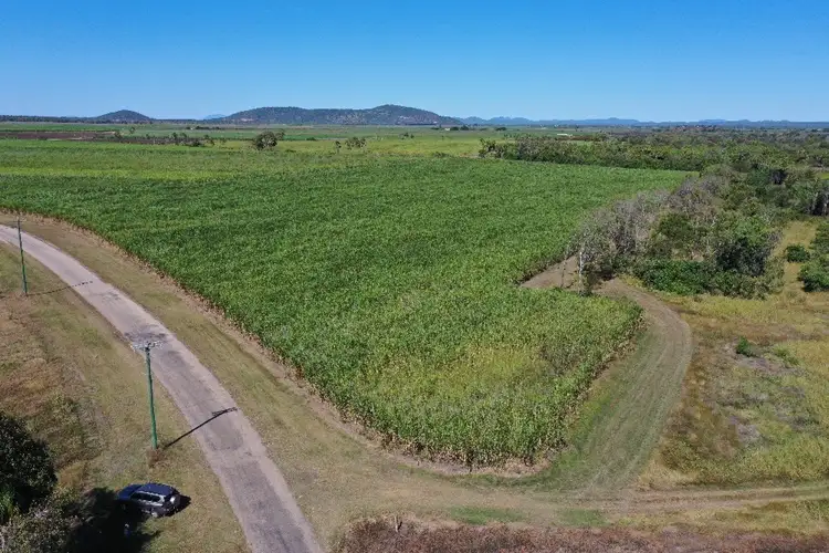 Second view of Homely rural property listing, 72 Coppo Road, Inkerman QLD 4806