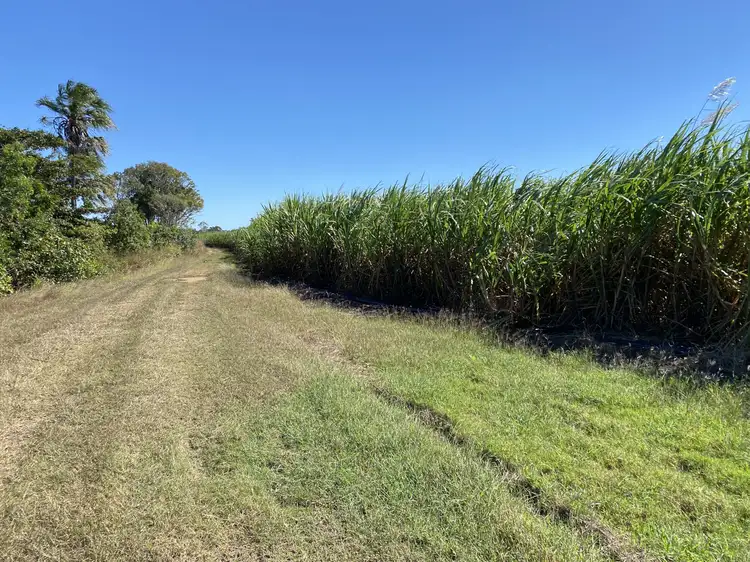 Fourth view of Homely rural property listing, 72 Coppo Road, Inkerman QLD 4806