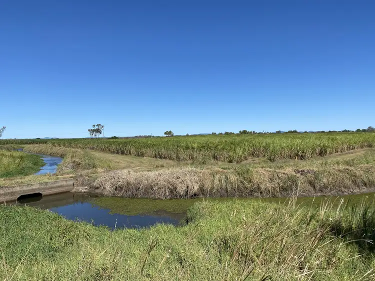 Sixth view of Homely rural property listing, 72 Coppo Road, Inkerman QLD 4806