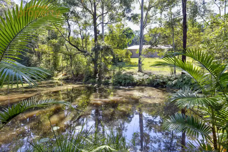 Third view of Homely house listing, 8 Currawong Road, Allgomera NSW 2441