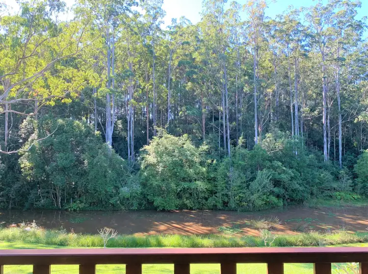Third view of Homely rural property listing, 230 Congarinni Road South, Congarinni NSW 2447