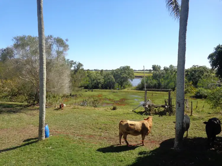 Seventh view of Homely rural property listing, 437 Walkers Point Road, Walkers Point QLD 4650