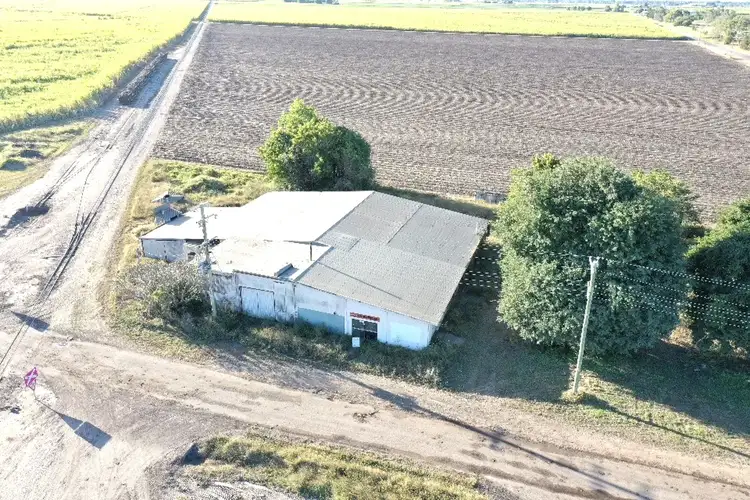 Second view of Homely house listing, 12 Becke Road, Osborne QLD 4806