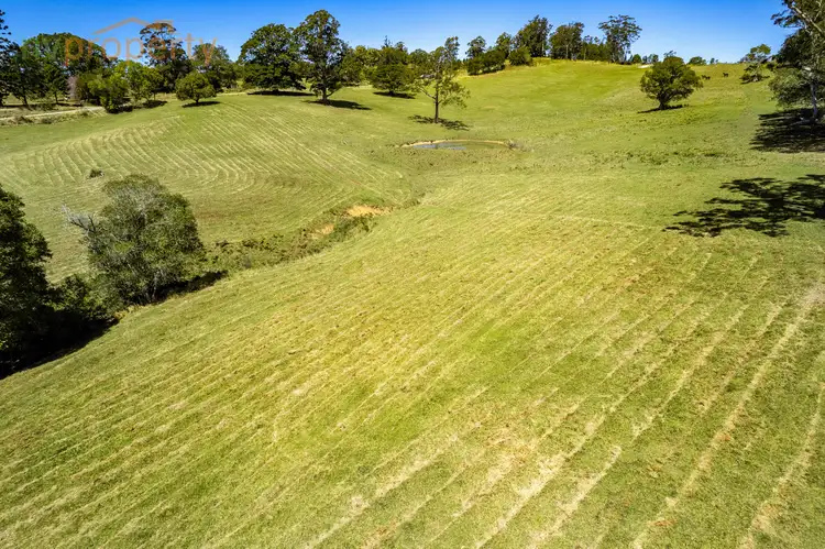 Second view of Homely land listing, LOT 3, 206 Newee Creek Road, Newee Creek NSW 2447