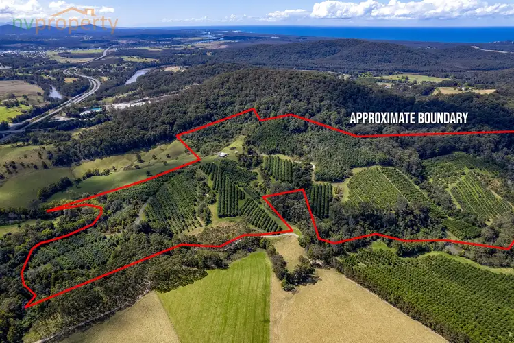 31 Wesley Avenue, Donnellyville NSW 2447