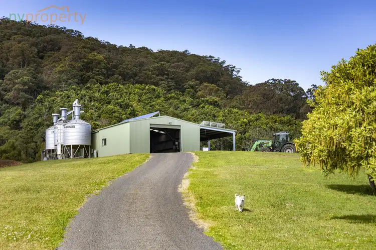 Fifth view of Homely rural property listing, 31 Wesley Avenue, Donnellyville NSW 2447