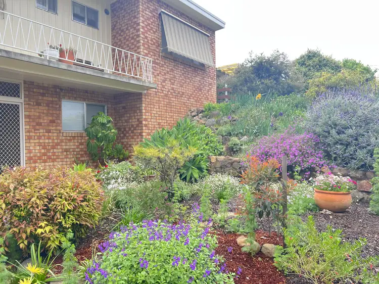 Second view of Homely house listing, 161 Crown Street, West Tamworth NSW 2340