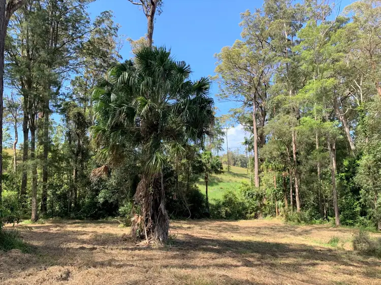 Fourth view of Homely land listing, 222 Florence Wilmont Drive, Nambucca Heads NSW 2448