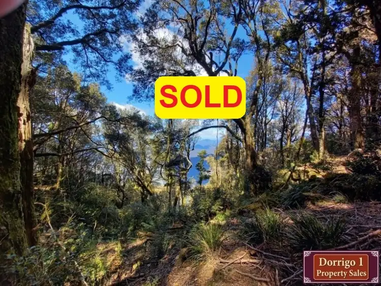 Main view of Homely other listing, 245 Redlands Road, Dorrigo NSW 2453
