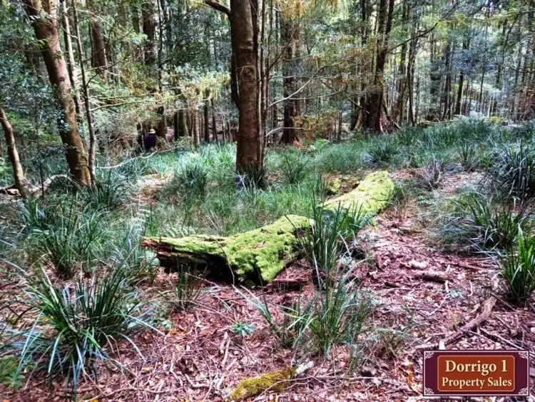 Fourth view of Homely other listing, 245 Redlands Road, Dorrigo NSW 2453