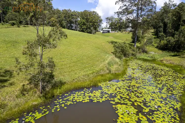 Second view of Homely rural property listing, 707 Upper Warrell Creek Road, Congarinni NSW 2447