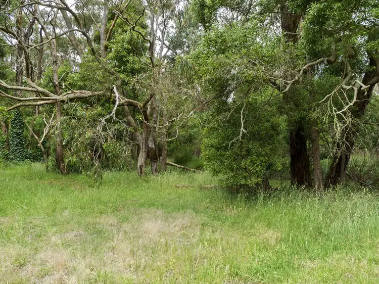 Second view of Homely rural property listing, Lot 25 Birregurra-Forrest Road, Barwon Downs VIC 3243