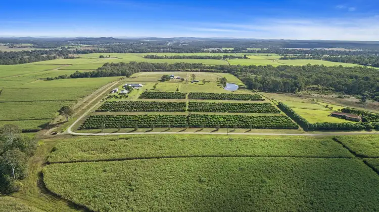 Third view of Homely rural property listing, 240 Hewson Road, Tinana South QLD 4650