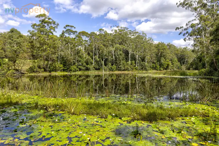87 Mighell Road, Yarrahapinni NSW 2441
