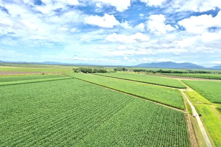 Main view of Homely rural property listing, 78 School Road, Clare QLD 4807