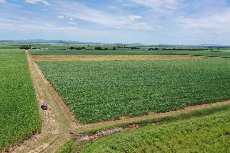 Third view of Homely rural property listing, 78 School Road, Clare QLD 4807