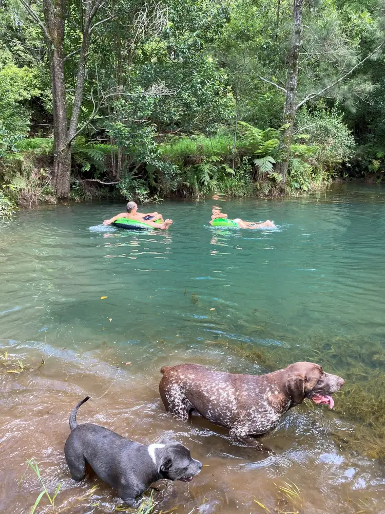 Fifth view of Homely rural property listing, 728 Bellingen  Road, Missabotti NSW 2449