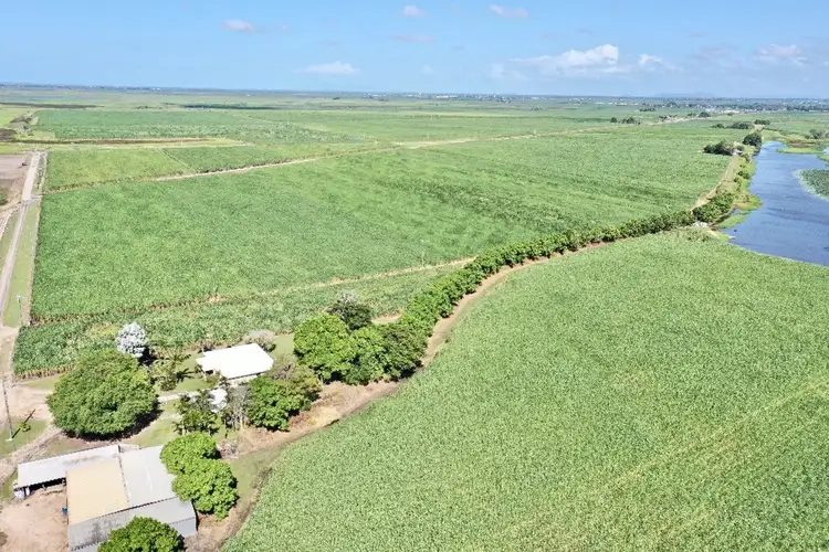 Second view of Homely rural property listing, 67 Hillier Road, Brandon QLD 4808
