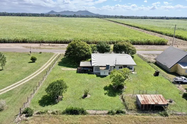 Fourth view of Homely rural property listing, 853 Kirknie Road, Osborne QLD 4806
