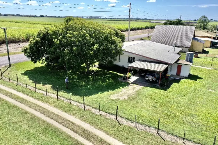 Fifth view of Homely rural property listing, 853 Kirknie Road, Osborne QLD 4806