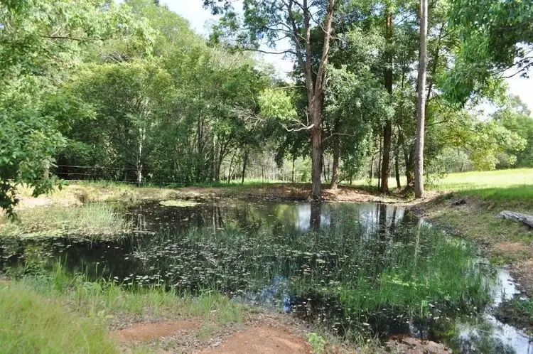 Fifth view of Homely rural property listing, 71 Eungai Creek Road, Eungai Creek NSW 2441