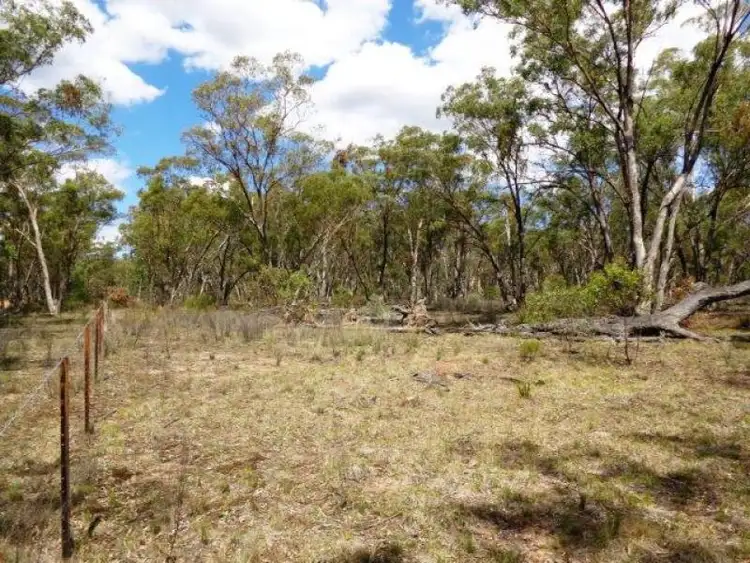 Seventh view of Homely rural property listing, 1657 Gamble Creek Road, Weetaliba NSW 2395