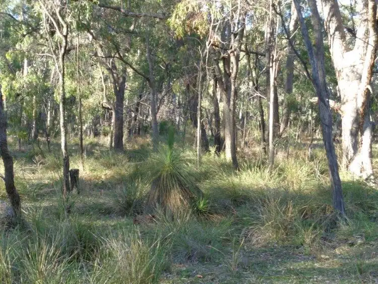Second view of Homely rural property listing, 125 Tilly Willy Road, Coolah NSW 2843