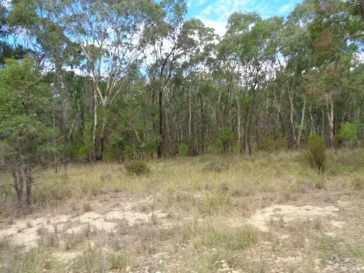 Fifth view of Homely rural property listing, 125 Tilly Willy Road, Coolah NSW 2843