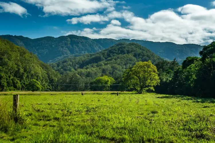 1627 Darkwood Road, Bellingen NSW 2454