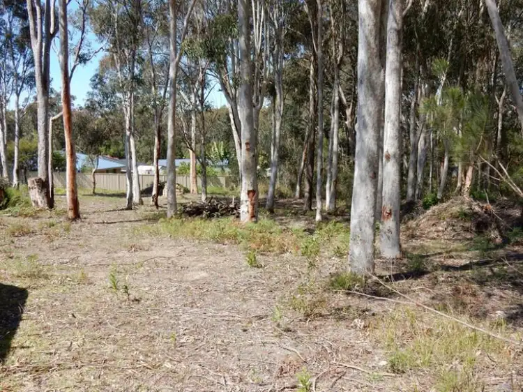 62 Government Road, Wyee Point NSW 2259