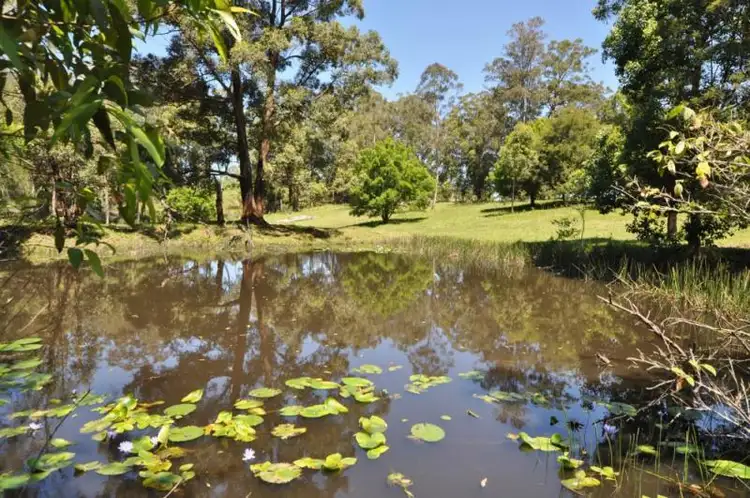 Sixth view of Homely rural property listing, 474 Rodeo Drive, Wirrimbi NSW 2447