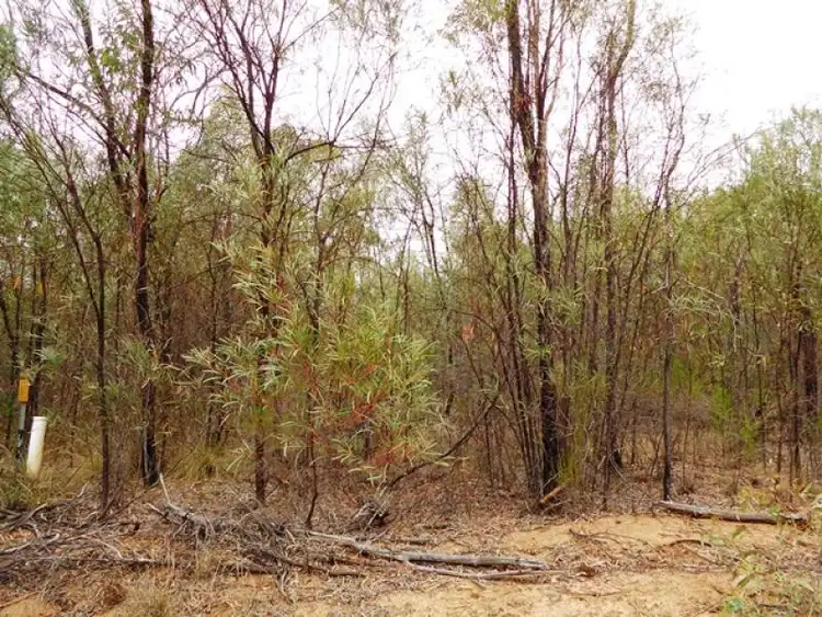 Fourth view of Homely rural property listing, 179 Hawkin Road, Premer NSW 2381