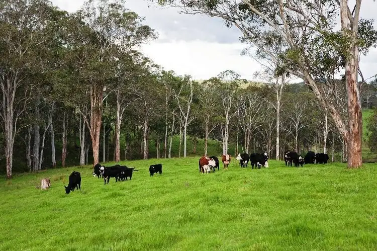 Fifth view of Homely rural property listing, Tyringham, Tyringham NSW 2453