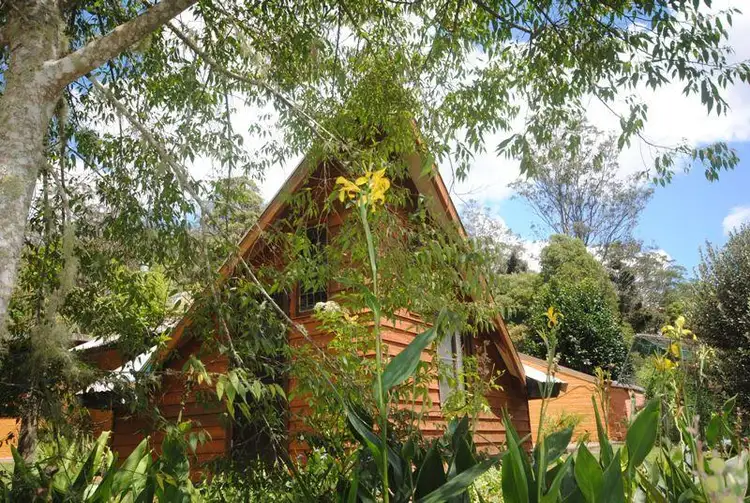 Third view of Homely other listing, 1368 Lower Bielsdown Road, Dorrigo NSW 2453